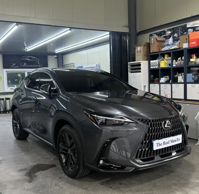 렉서스 NX 350h 전체 PPF 시공 사진 12
